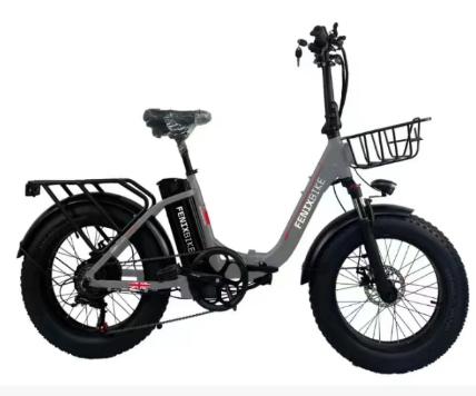 Cycletronic MYT20 electric bike